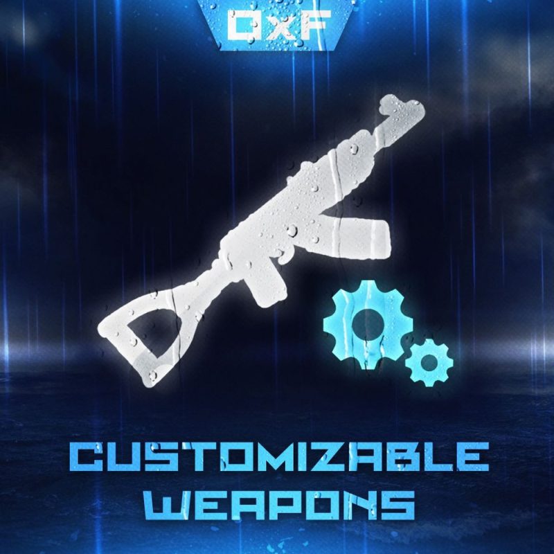 Customizable Weapons 1.6.8 · 武器深度自定义 · 伤害/耐久/弹容全可调-Biu腐蚀网