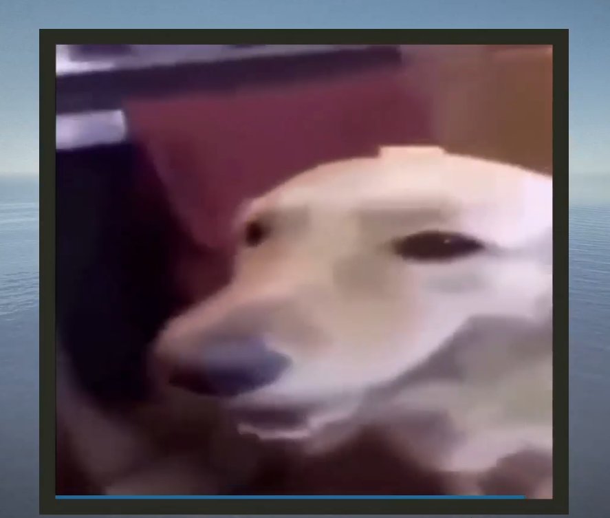 Send Video 1.2.1